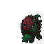 Mount